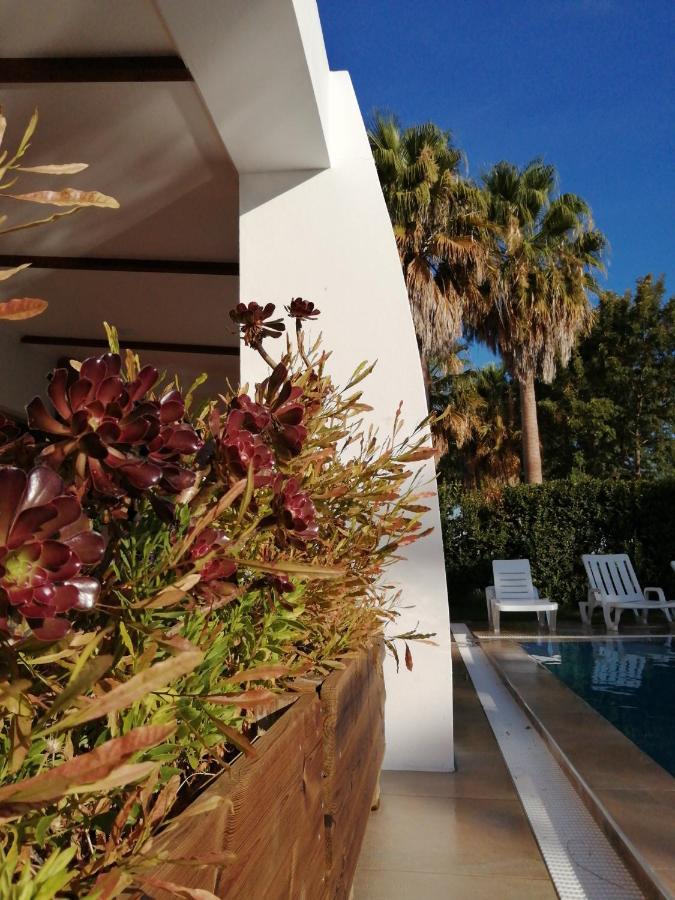 Herdade Da Diabroria - Agroturismo باجة المظهر الخارجي الصورة