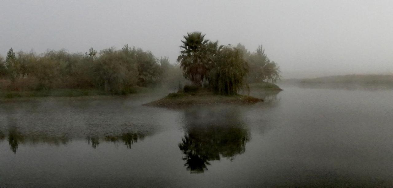 Herdade Da Diabroria - Agroturismo باجة المظهر الخارجي الصورة
